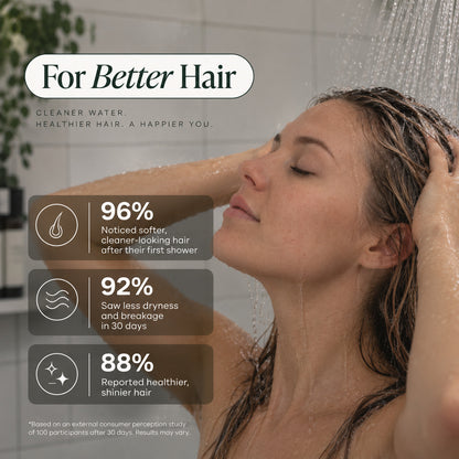 LASSO Pure Shower System With 2 Filters